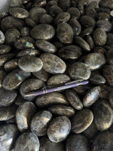 Labradorite Palm Stones - 1 pound*