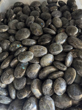 Labradorite Palm Stones - 1 pound*