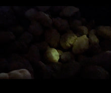 Phosphorescent Tumbled Geodes 10 pounds Roughstone.Rocks LLC