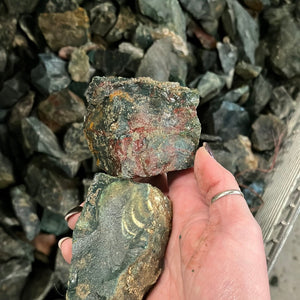 Rough Bloodstone from India Medium Pieces 1 pound Roughstone.Rocks LLC