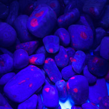 Ruby in Fuchsite Tumbles UV 100 grams Roughstone.Rocks LLC