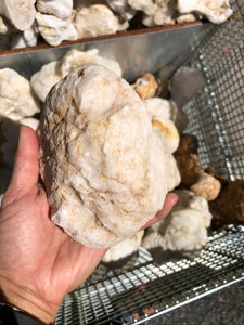 Geodes Large from Morocco 10 pounds Roughstone.Rocks LLC