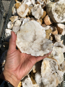 Geodes Open from Morocco 1 pound Roughstone.Rocks LLC