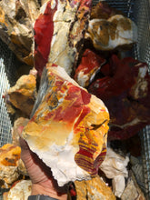 Rough Mookaite from Australia 100 pounds Roughstone.Rocks LLC 