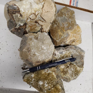 Septarian from Utah 100 pounds Roughstone.Rocks LLC