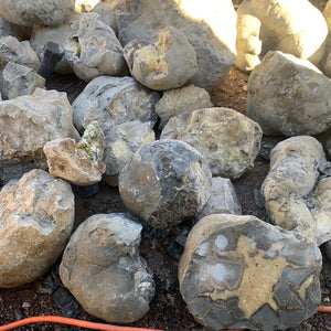 Septarian from Utah 100 pounds Roughstone.Rocks LLC