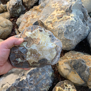 Septarian from Utah 100 pounds Roughstone.Rocks LLC