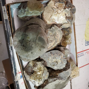 Septarian from Utah 10 pounds Roughstone.Rocks LLC