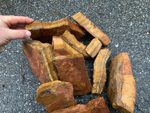 Tiger Eye 1st Choice from South Africa 10 pounds Roughstone.Rocks LLC